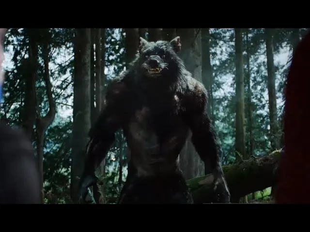O lobo na montanha