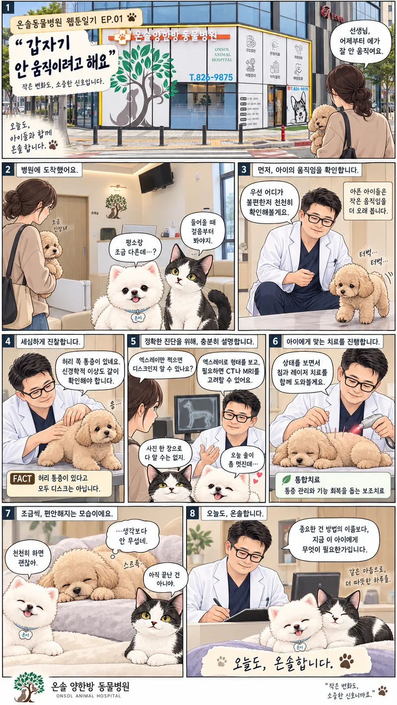 온솔 동물병원 하루
