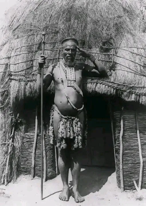 TRIBE WARRIORS